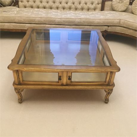 Glass Top Display Case/Coffee Table