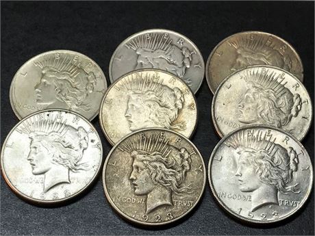 Eight 1923 Peace Silver Dollar Coins