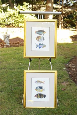 Pair of Lithographs of Fish | Par de Pinturas Litograficas de Peces