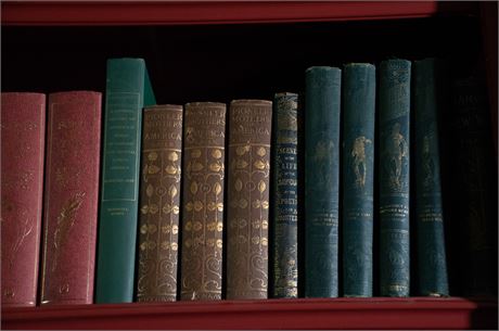 Miscellaneous Books, one with Leather Binding