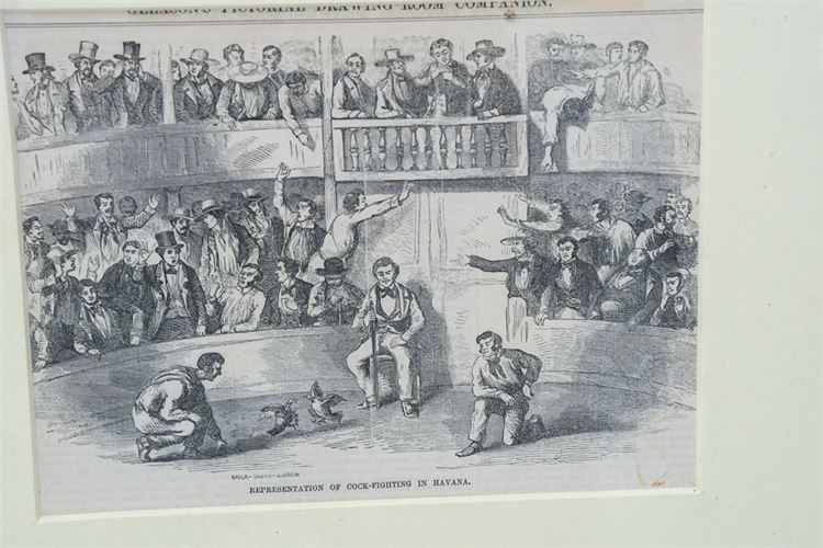 "Cockfighting in Havanna" Vintage Print