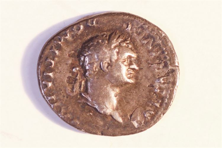 Roman Denarius, Head Domintian and Romulus & Remus 81-96AD
