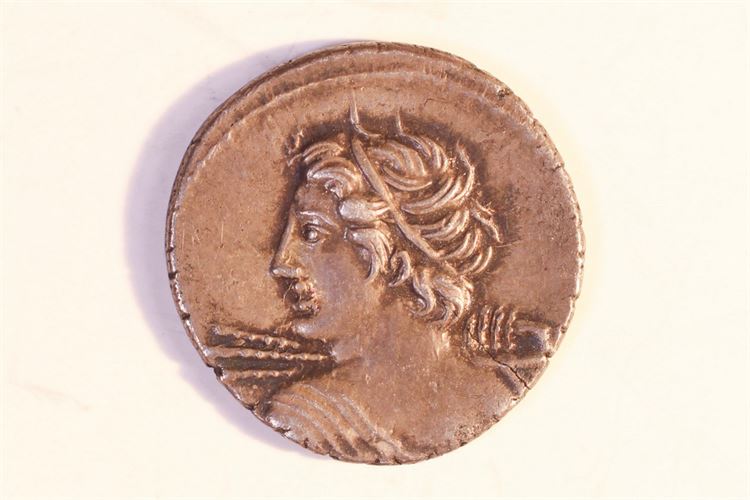 Ancient Roman Coin 90-79BC
