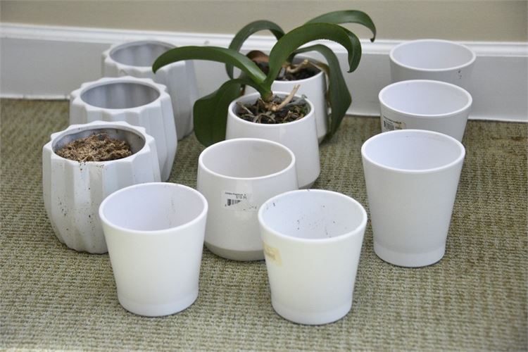 Group, Small White  Planters (Various Styles and Sizes)
