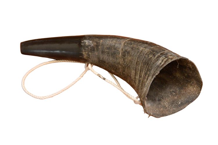Horn Trumpet