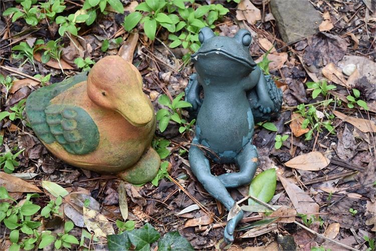 Frog and Duck Figure