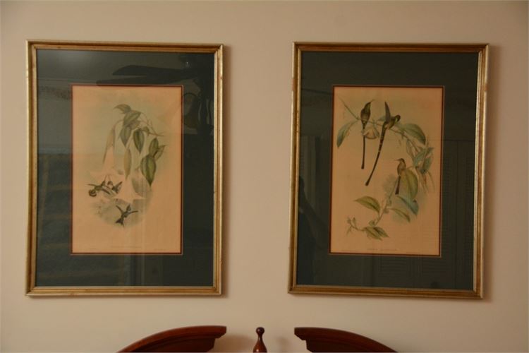 Pair Framed Bird Prints