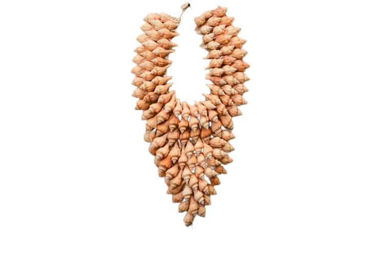 Large Seashell Necklace