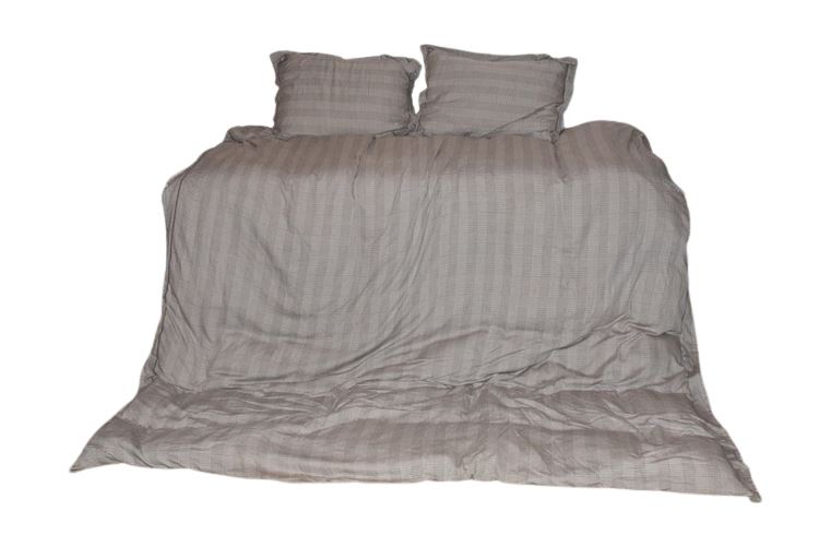 Duvet and Pillows