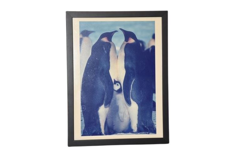 Framed Penguins Artwork
