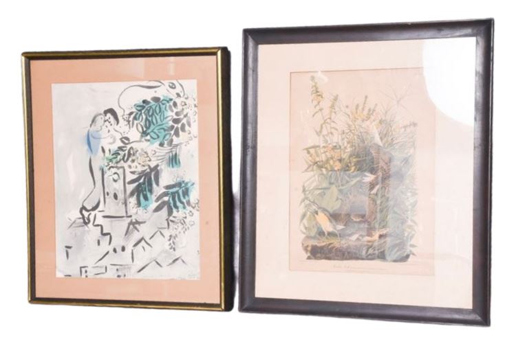 Marc Chagall  and  JJ Audoban Framed Prints