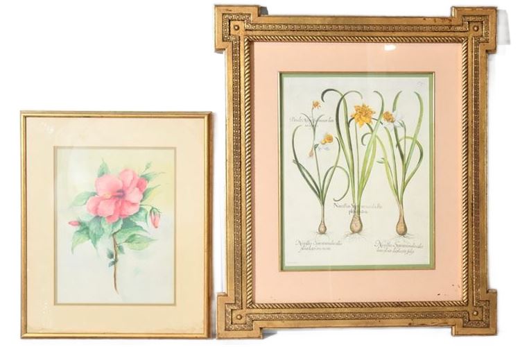 Two (2) Framed Floral Prints
