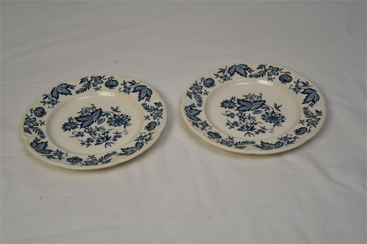 Pair Vintage Blue and White Plates
