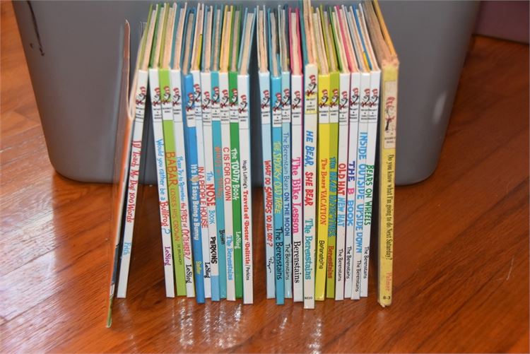 The Berenstain Bears & Early Reading Books