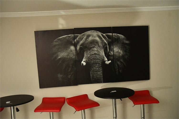Three Panel Elephant Art Canvas