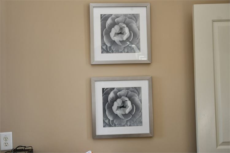 Pair Modern Framed Floral Prints