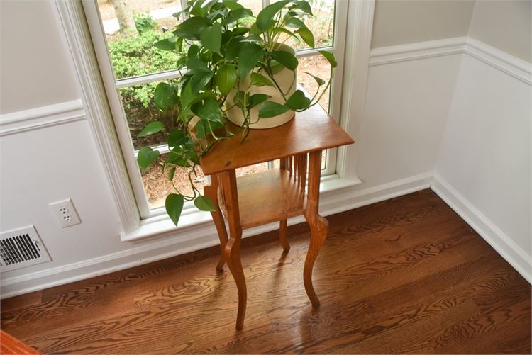 Wooden Plant Stand With Plant